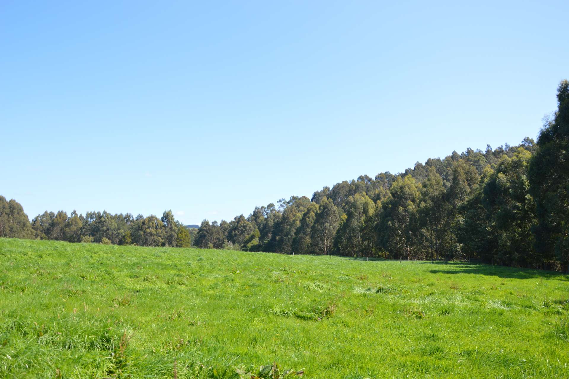 275 Anderson Inlet Road, Moyarra For Sale by Farmbuy.com - image 24