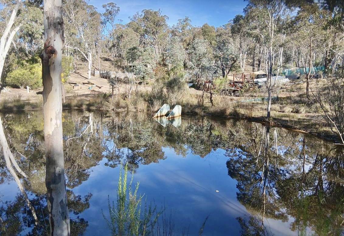 494 Jerralong Road, Oallen For Sale by Farmbuy.com - image 8