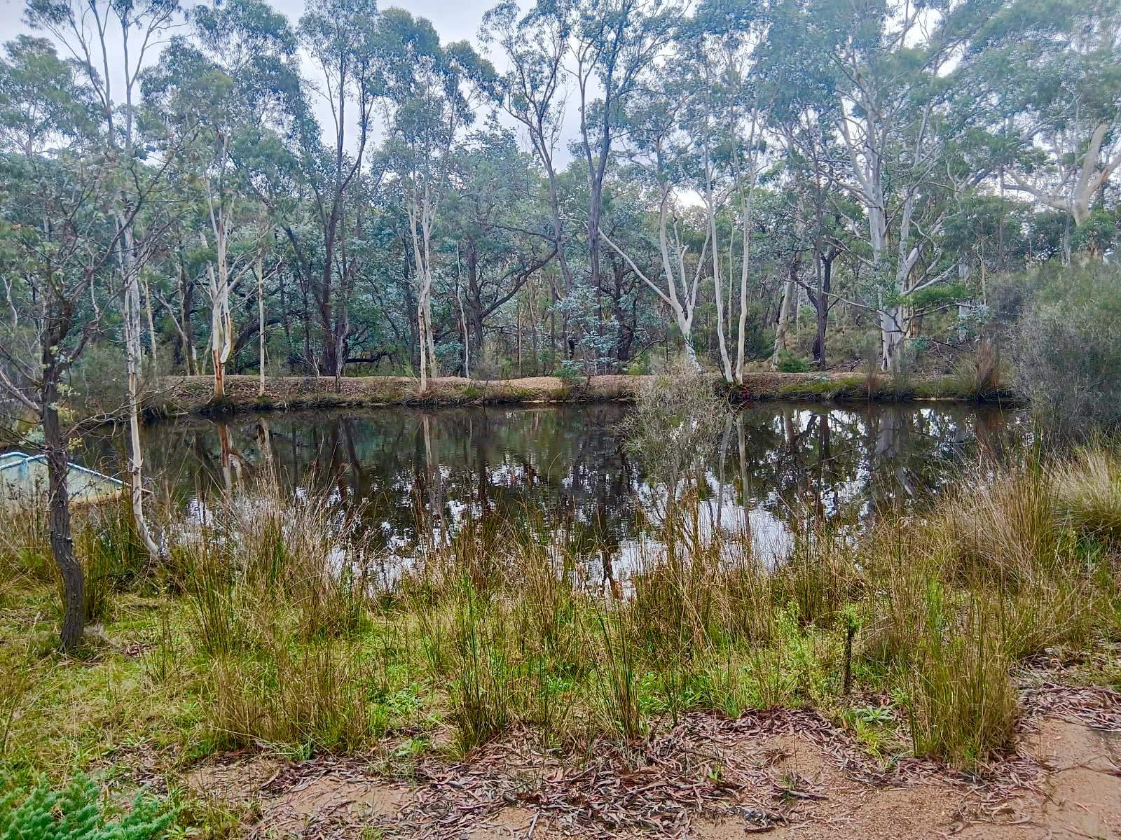 494 Jerralong Road, Oallen For Sale by Farmbuy.com - image 12