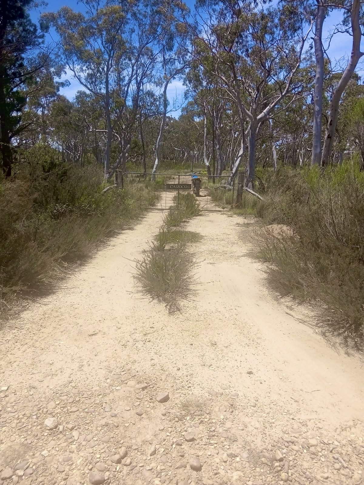 494 Jerralong Road, Oallen For Sale by Farmbuy.com - image 10