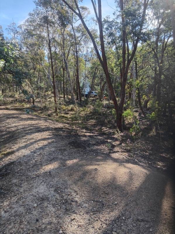494 Jerralong Road, Oallen For Sale by Farmbuy.com - image 9