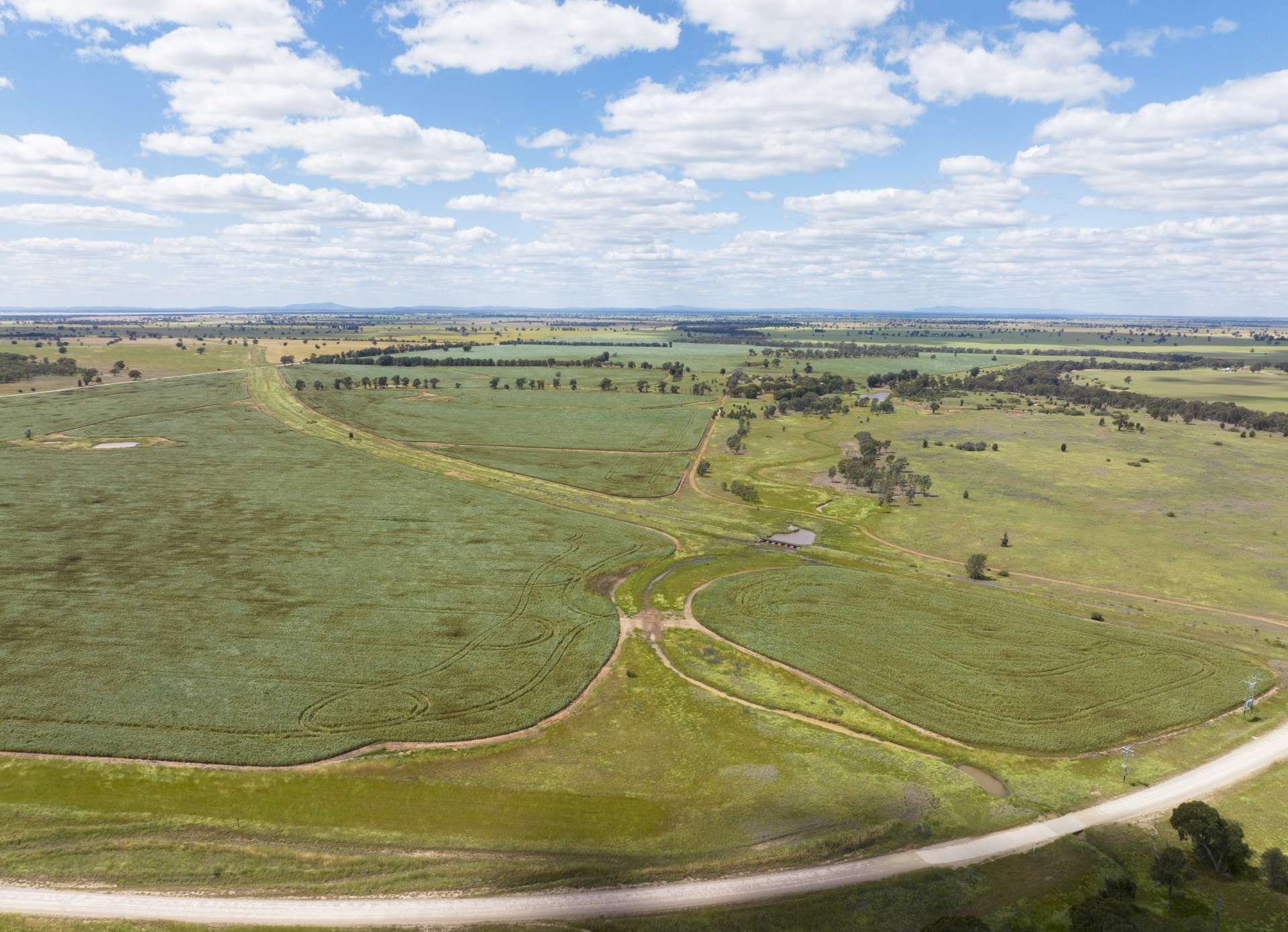 . "WILGA VALE", West Wyalong For Sale by Farmbuy.com - image 7