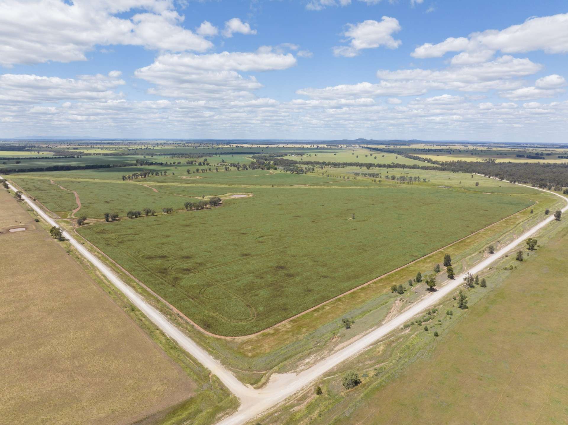 . "WILGA VALE", West Wyalong For Sale by Farmbuy.com - image 8