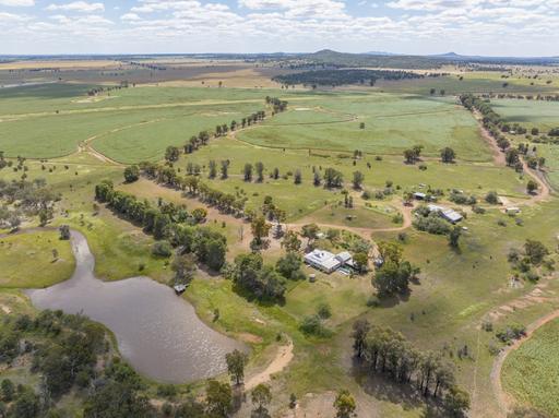 Farm For Sale - NSW - West Wyalong - 2671 - "WILGA VALE" 