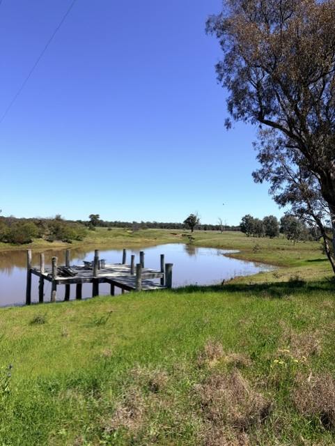 . "WILGA VALE", West Wyalong For Sale by Farmbuy.com - image 2