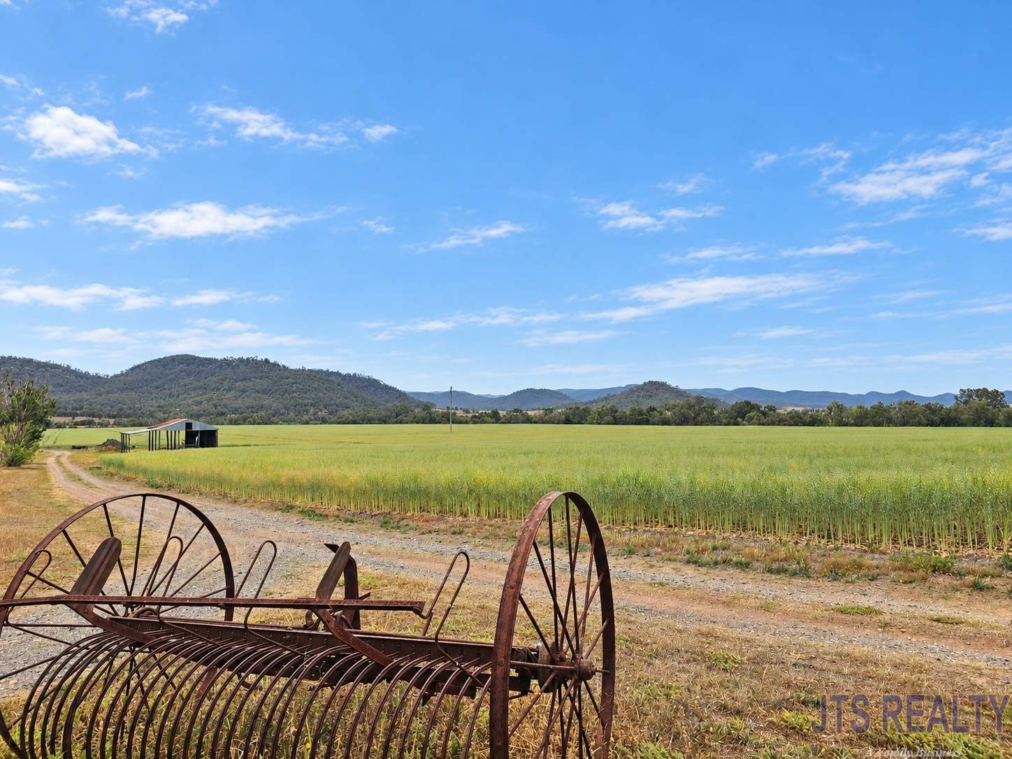 1050 Rosemount Road, Denman For Sale by Farmbuy.com - image 5