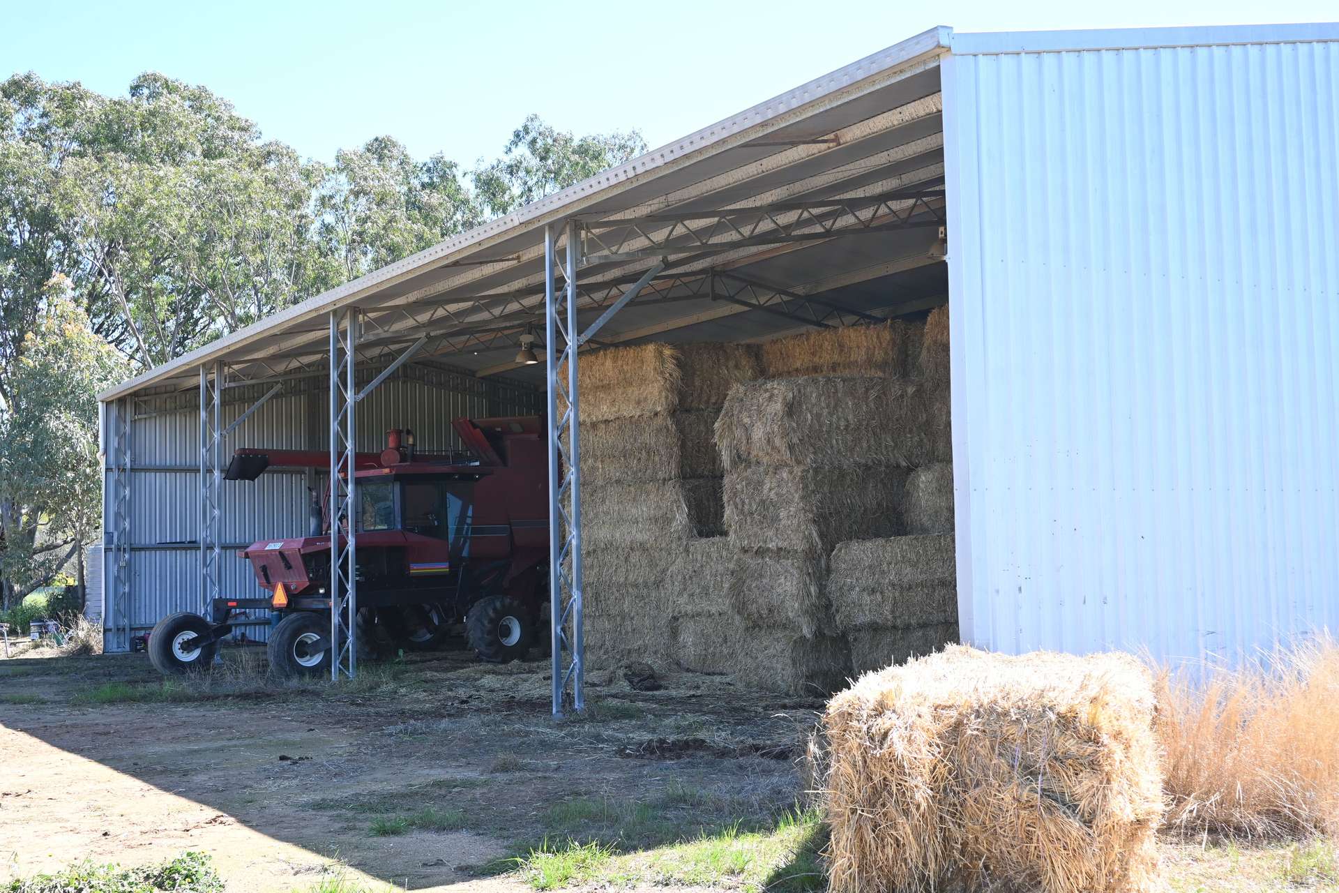 "Torwood" 799 Eualdrie Road, Grenfell For Sale by Farmbuy.com - image 8
