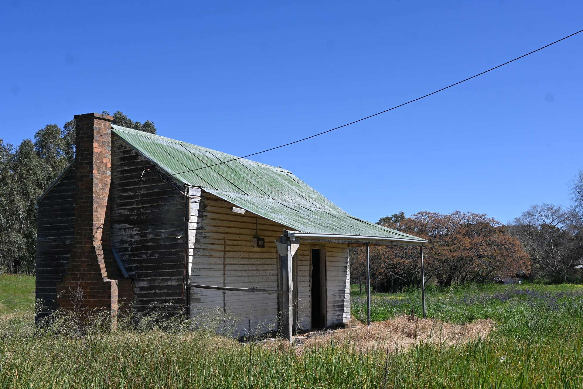 "Torwood" 799 Eualdrie Road, Grenfell For Sale by Farmbuy.com - image 9