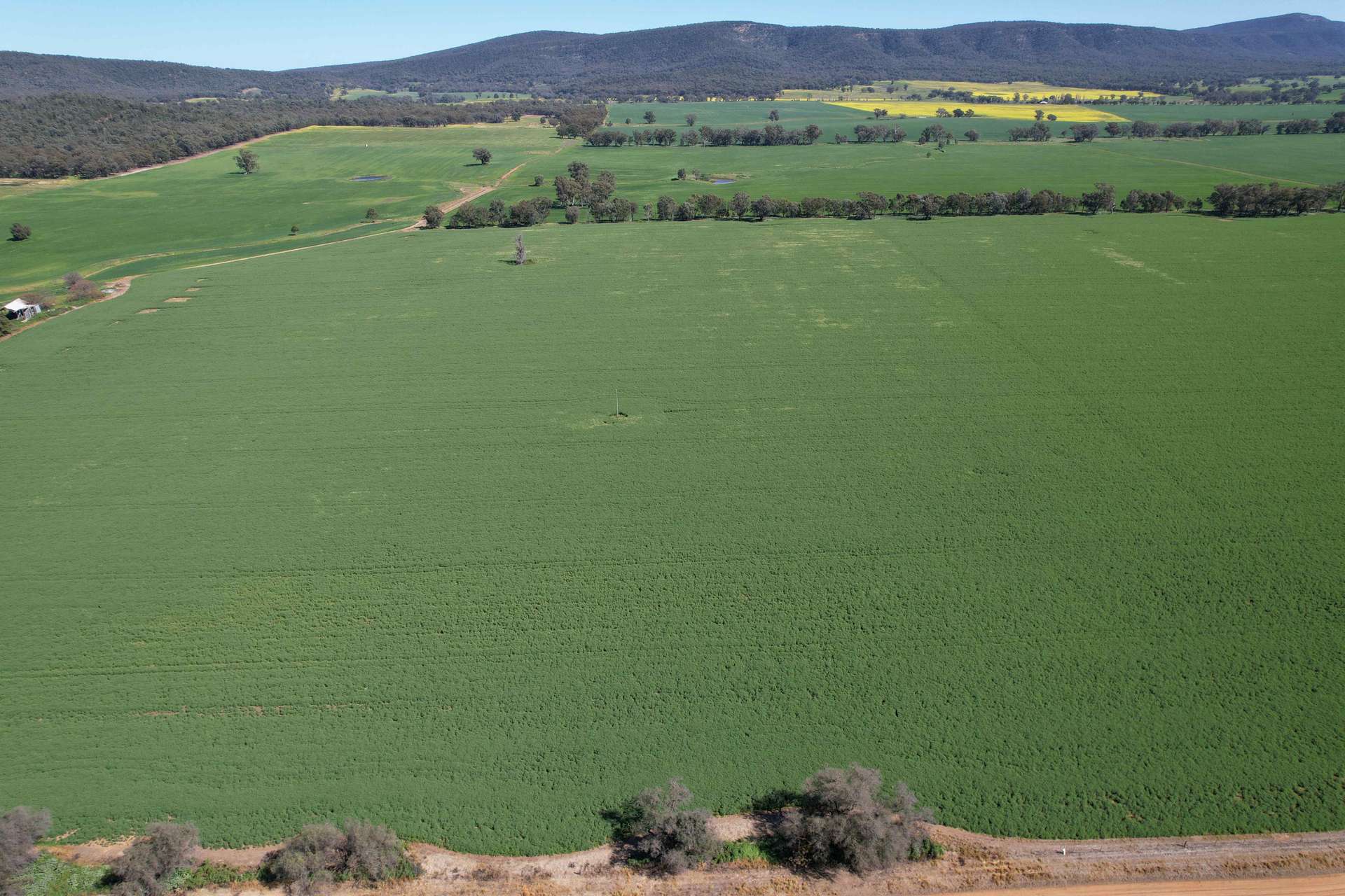 "Torwood" 799 Eualdrie Road, Grenfell For Sale by Farmbuy.com - image 18