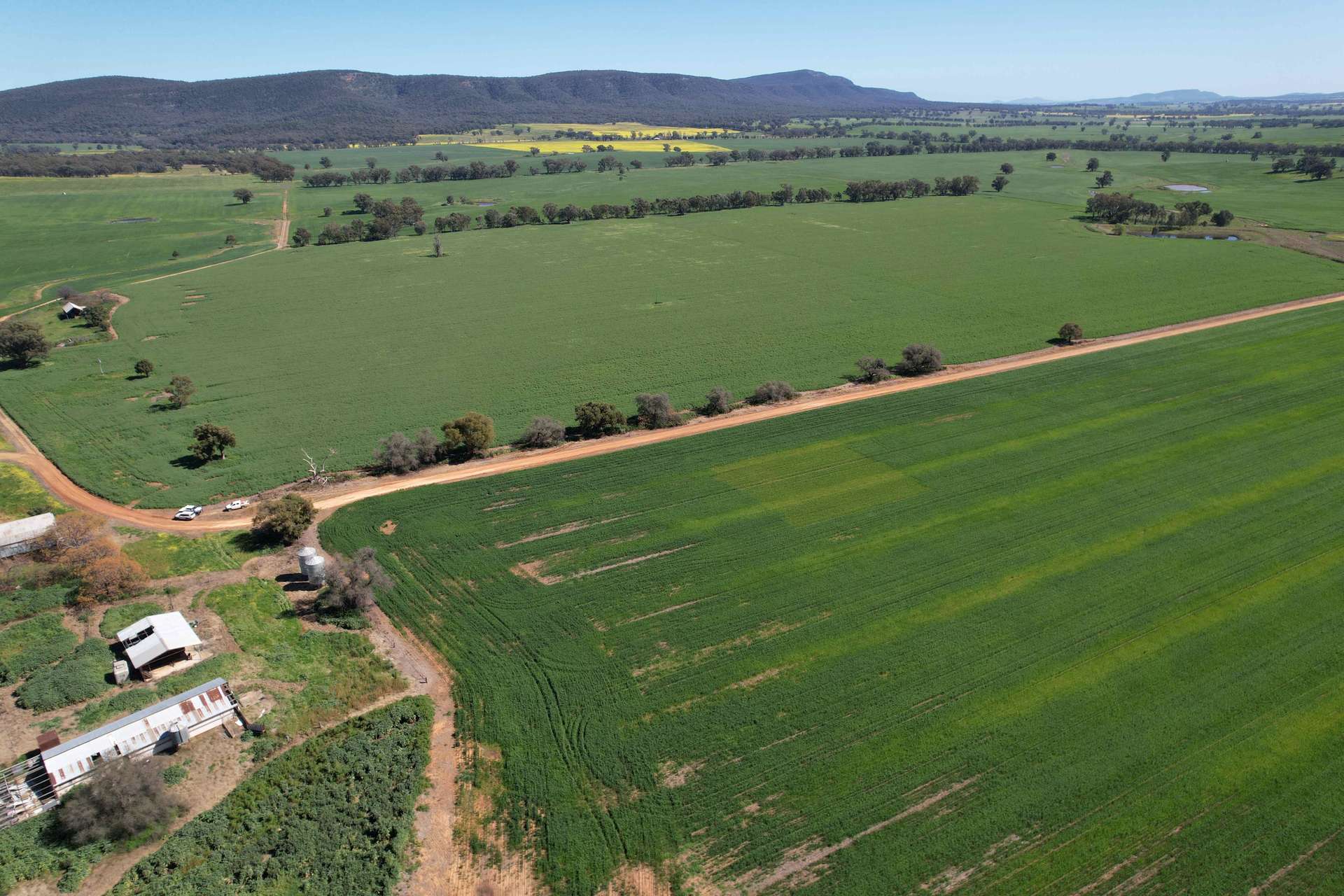 "Torwood" 799 Eualdrie Road, Grenfell For Sale by Farmbuy.com - image 19