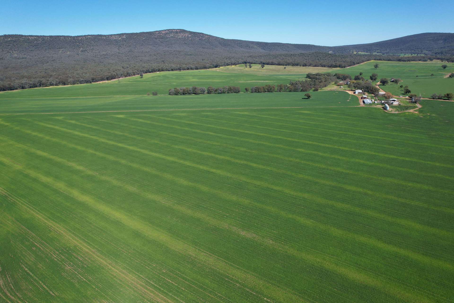 "Torwood" 799 Eualdrie Road, Grenfell For Sale by Farmbuy.com - image 16