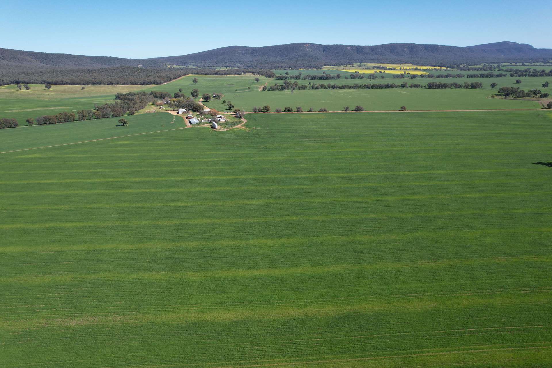 "Torwood" 799 Eualdrie Road, Grenfell For Sale by Farmbuy.com - image 17