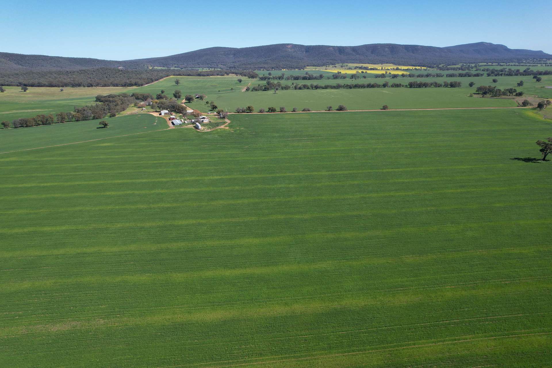 "Torwood" 799 Eualdrie Road, Grenfell For Sale by Farmbuy.com - image 15