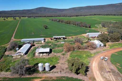 Farm For Sale - NSW - Grenfell - 2810 - Rare Opportunity. 