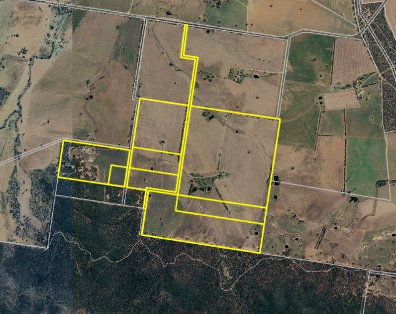 "Torwood" 799 Eualdrie Road, Grenfell For Sale by Farmbuy.com - image 21
