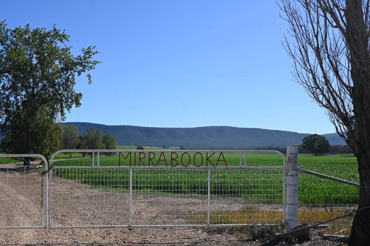 "Mirrabooka" 797 Eualdrie Road, Grenfell For Sale by Farmbuy.com - image 2