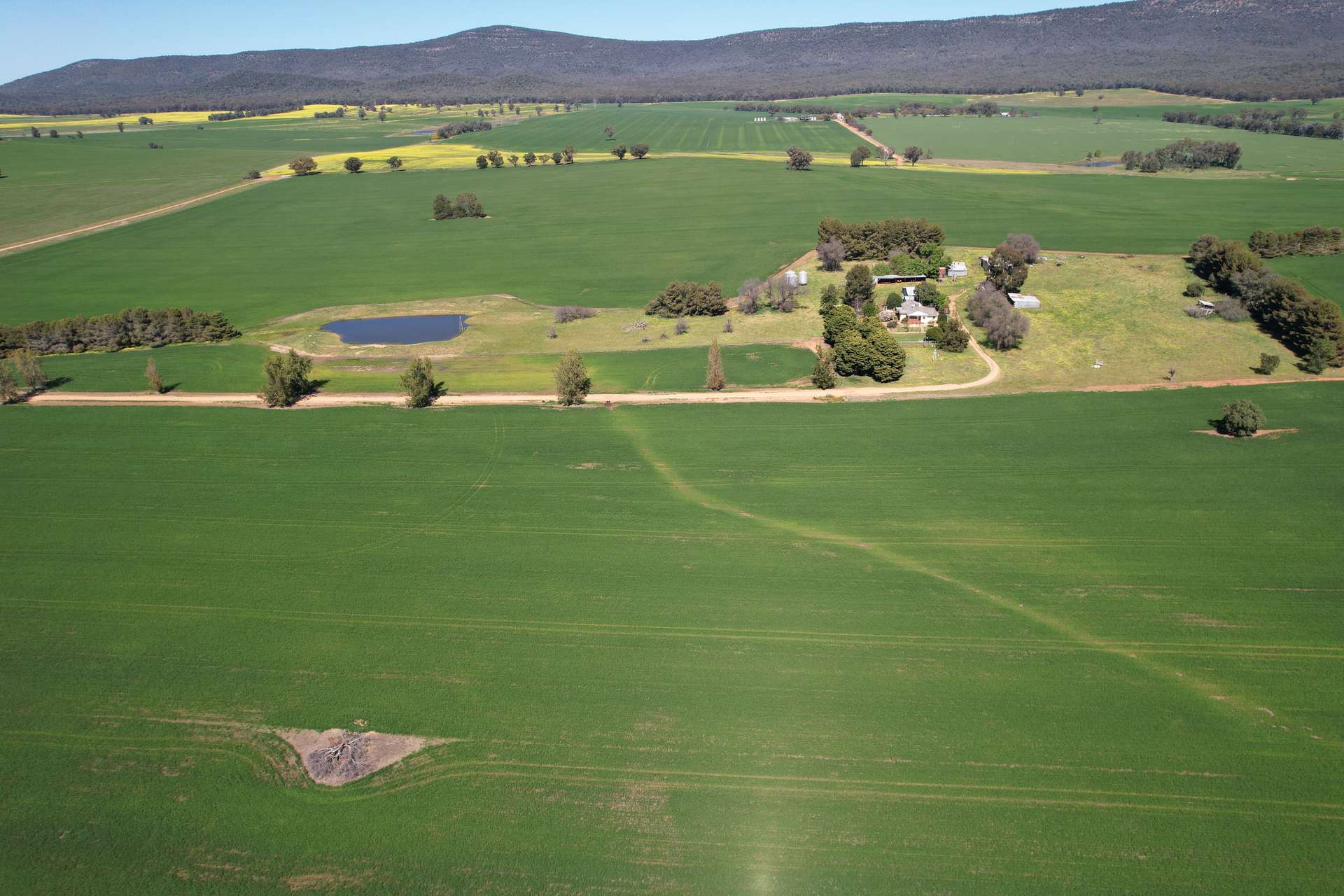 "Mirrabooka" 797 Eualdrie Road, Grenfell For Sale by Farmbuy.com - image 11