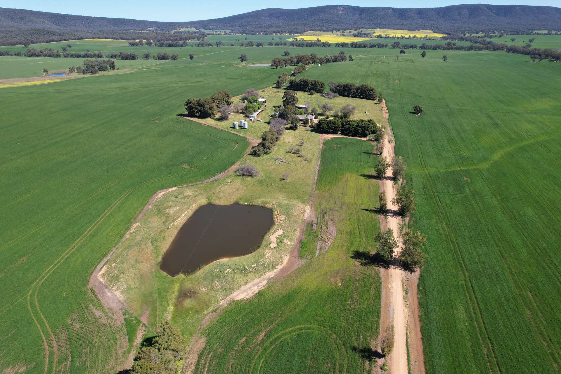 "Mirrabooka" 797 Eualdrie Road, Grenfell For Sale by Farmbuy.com - image 10