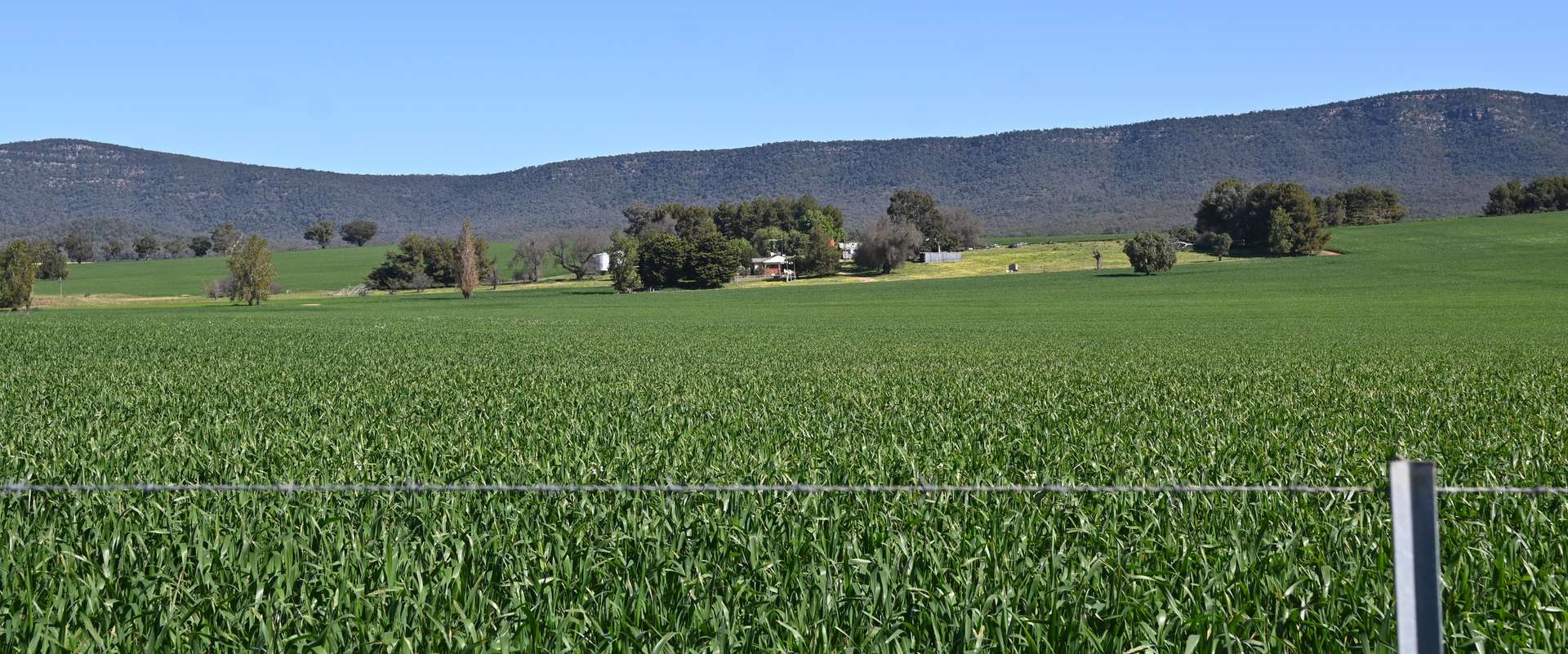 "Mirrabooka" 797 Eualdrie Road, Grenfell For Sale by Farmbuy.com - image 3