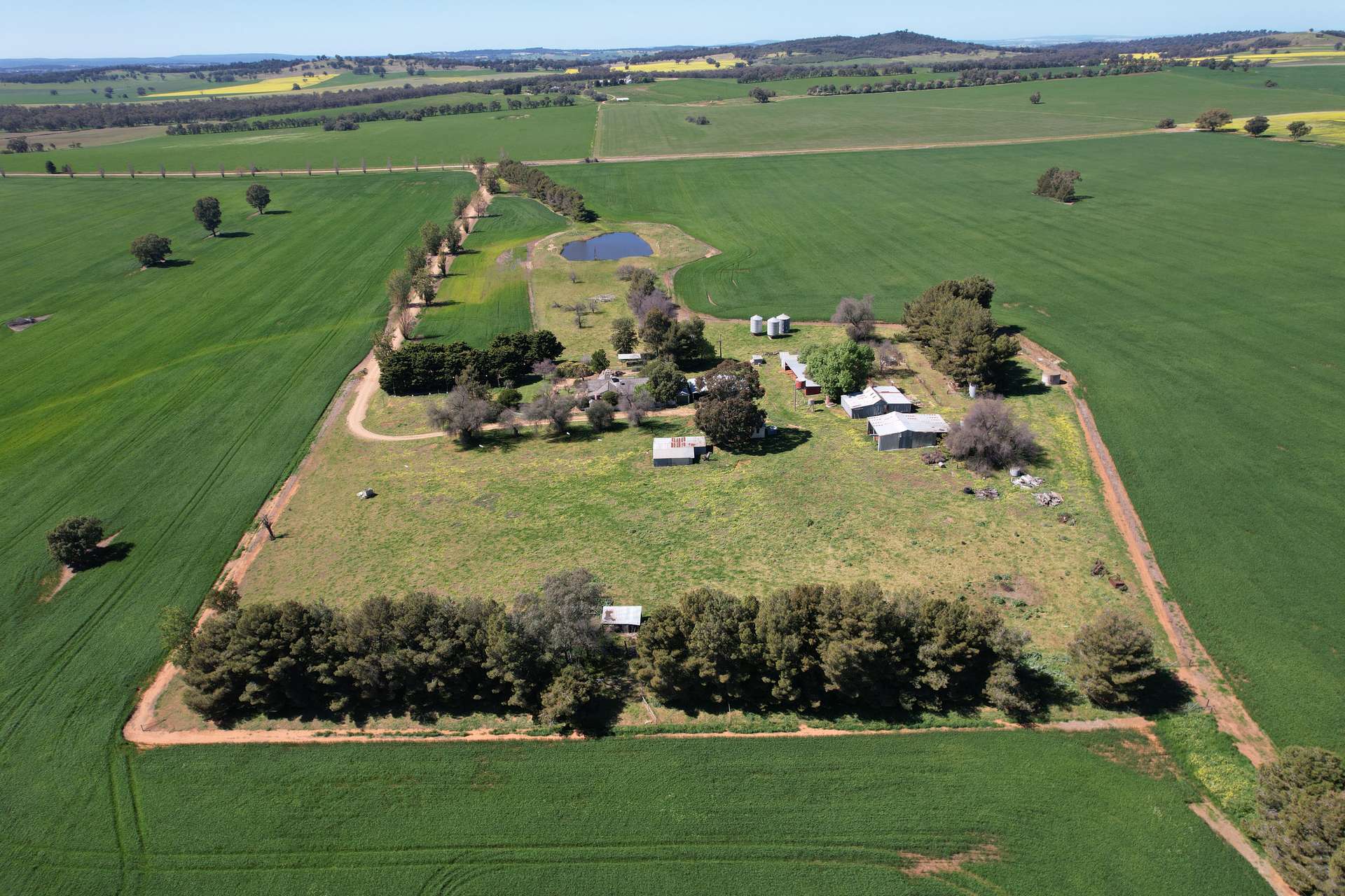 "Mirrabooka" 797 Eualdrie Road, Grenfell For Sale by Farmbuy.com - image 8