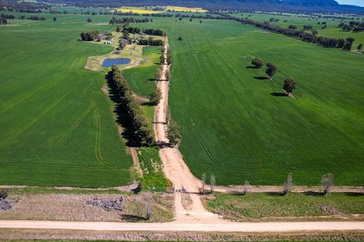 Farm For Sale - NSW - Grenfell - 2810 - "Mirrabooka", For Sale for the first time in nearly 80 years 