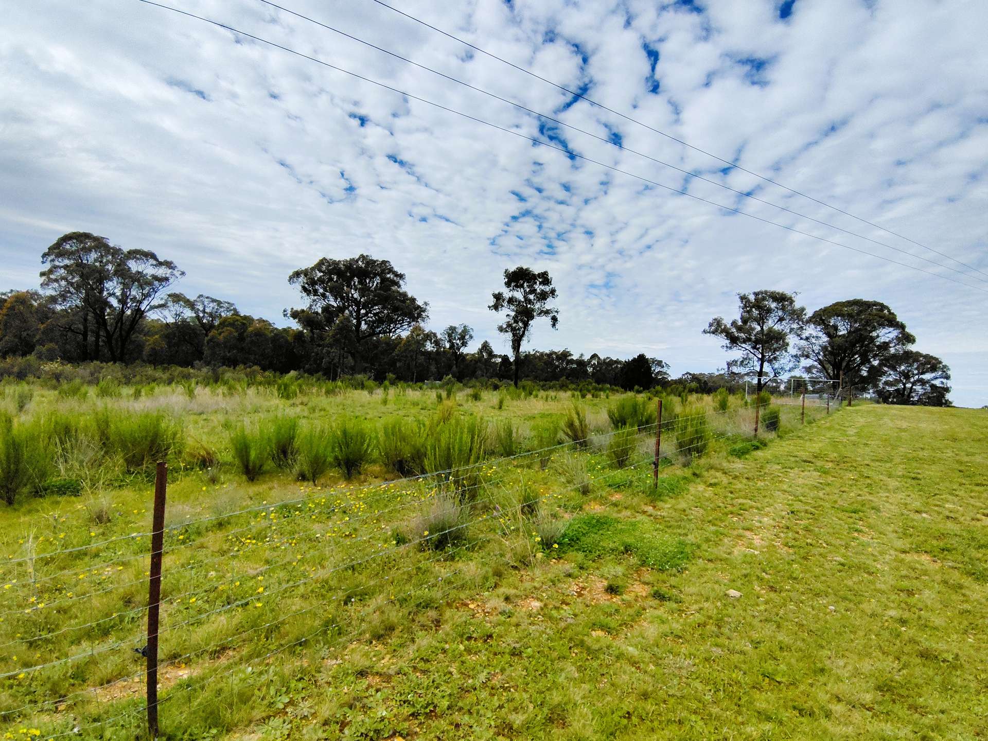 25 Simpson Drive, Grenfell For Sale by Farmbuy.com - image 30