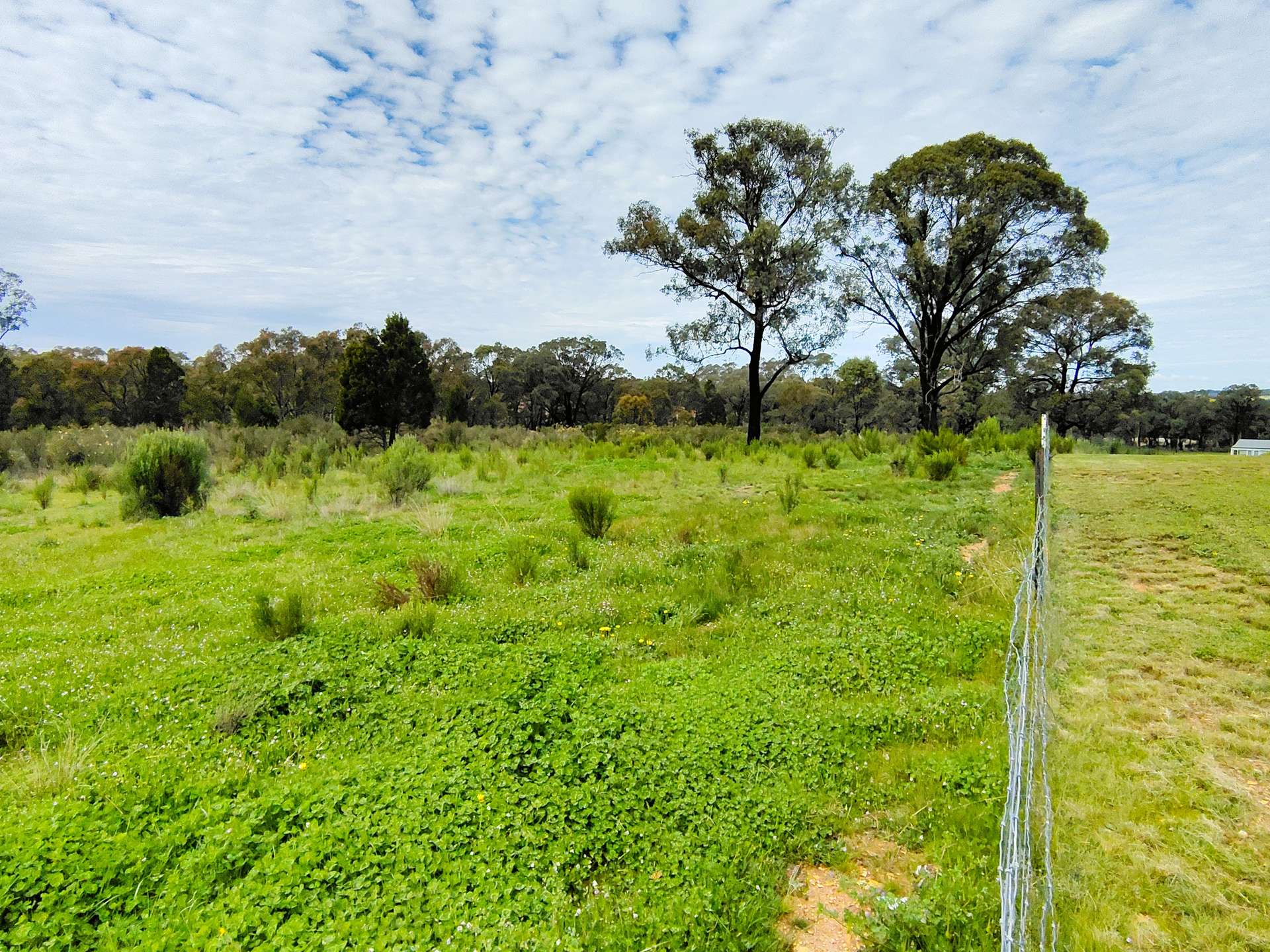25 Simpson Drive, Grenfell For Sale by Farmbuy.com - image 34
