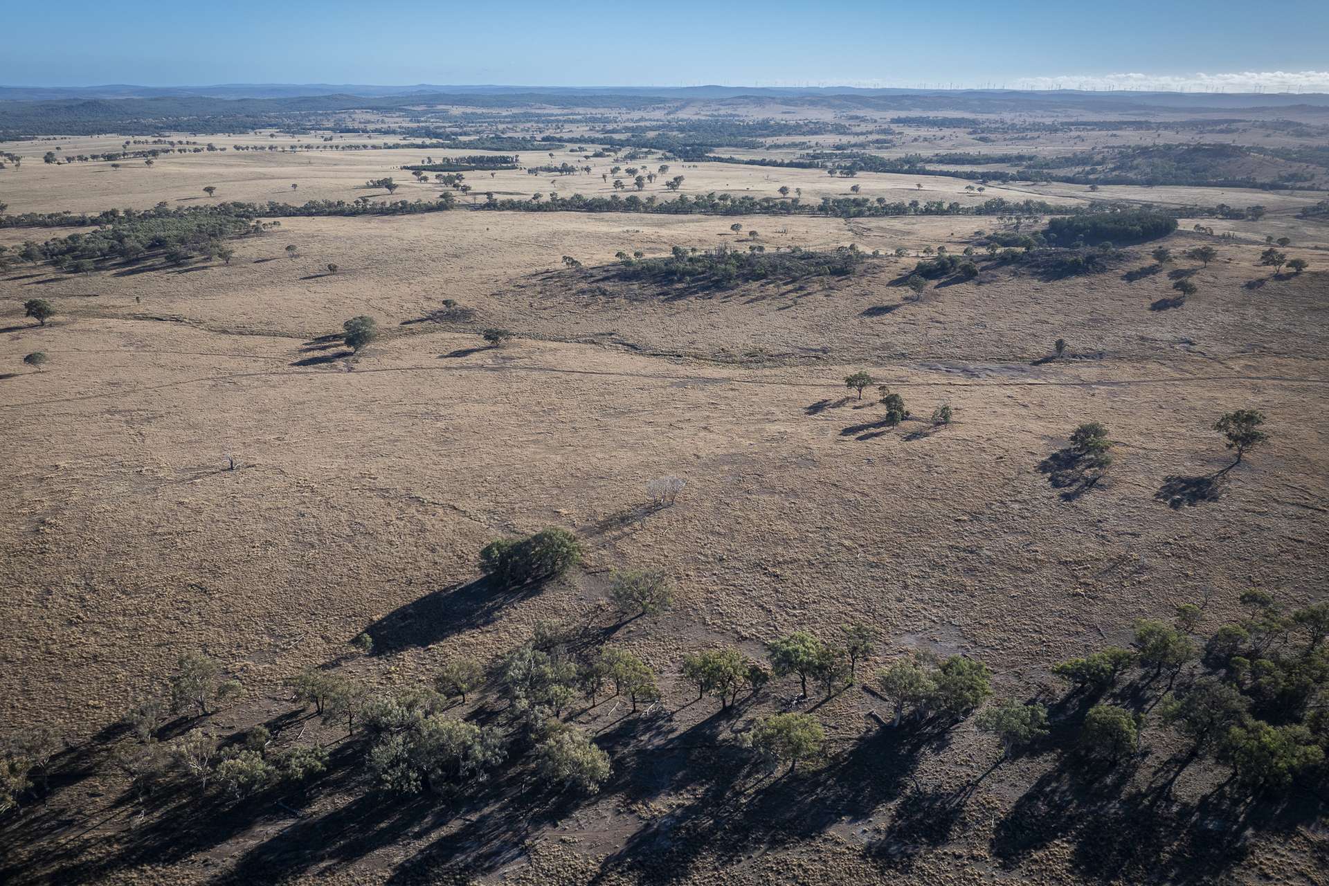 2403 Stanthorpe-Inglewood Road, Inglewood For Sale by Farmbuy.com - image 14