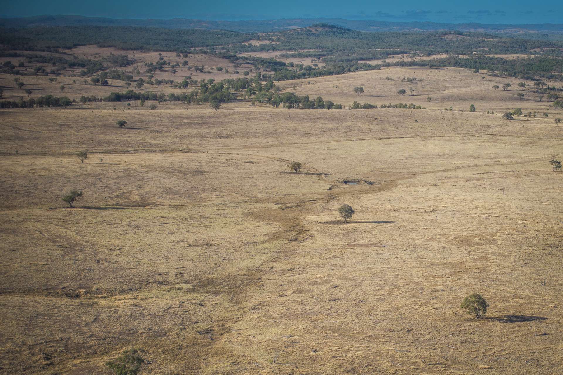 2403 Stanthorpe-Inglewood Road, Inglewood For Sale by Farmbuy.com - image 15