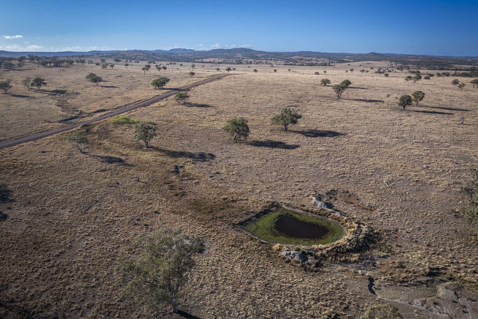 2403 Stanthorpe-Inglewood Road, Inglewood For Sale by Farmbuy.com - image 4