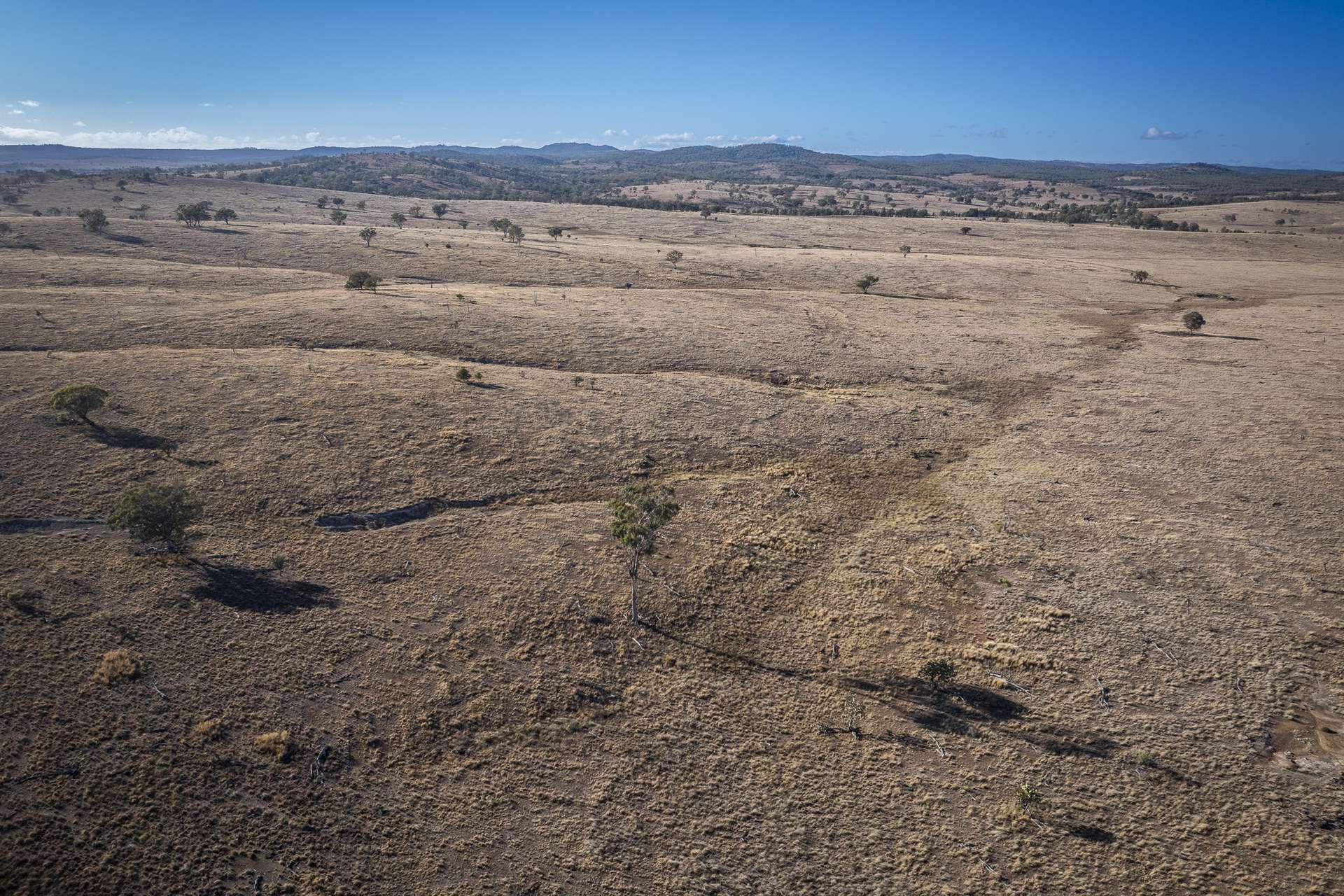 2403 Stanthorpe-Inglewood Road, Inglewood For Sale by Farmbuy.com - image 13