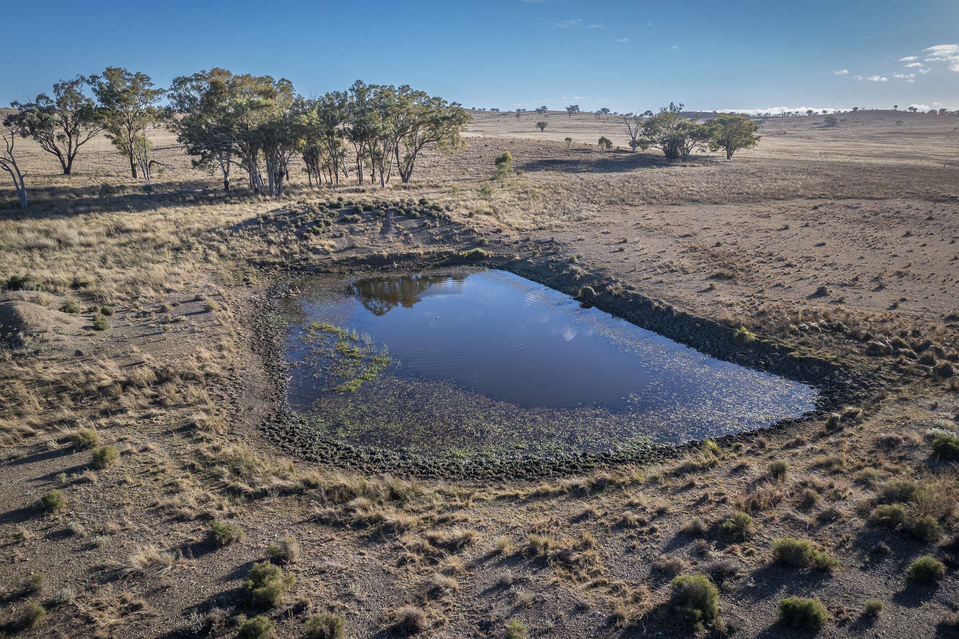 2403 Stanthorpe-Inglewood Road, Inglewood For Sale by Farmbuy.com - image 7