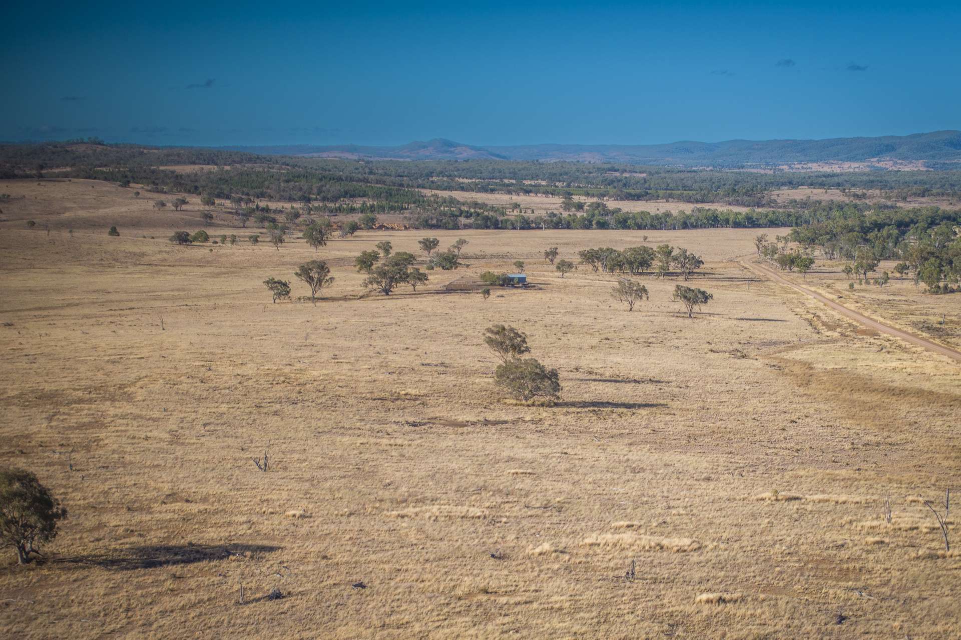 2403 Stanthorpe-Inglewood Road, Inglewood For Sale by Farmbuy.com - image 2
