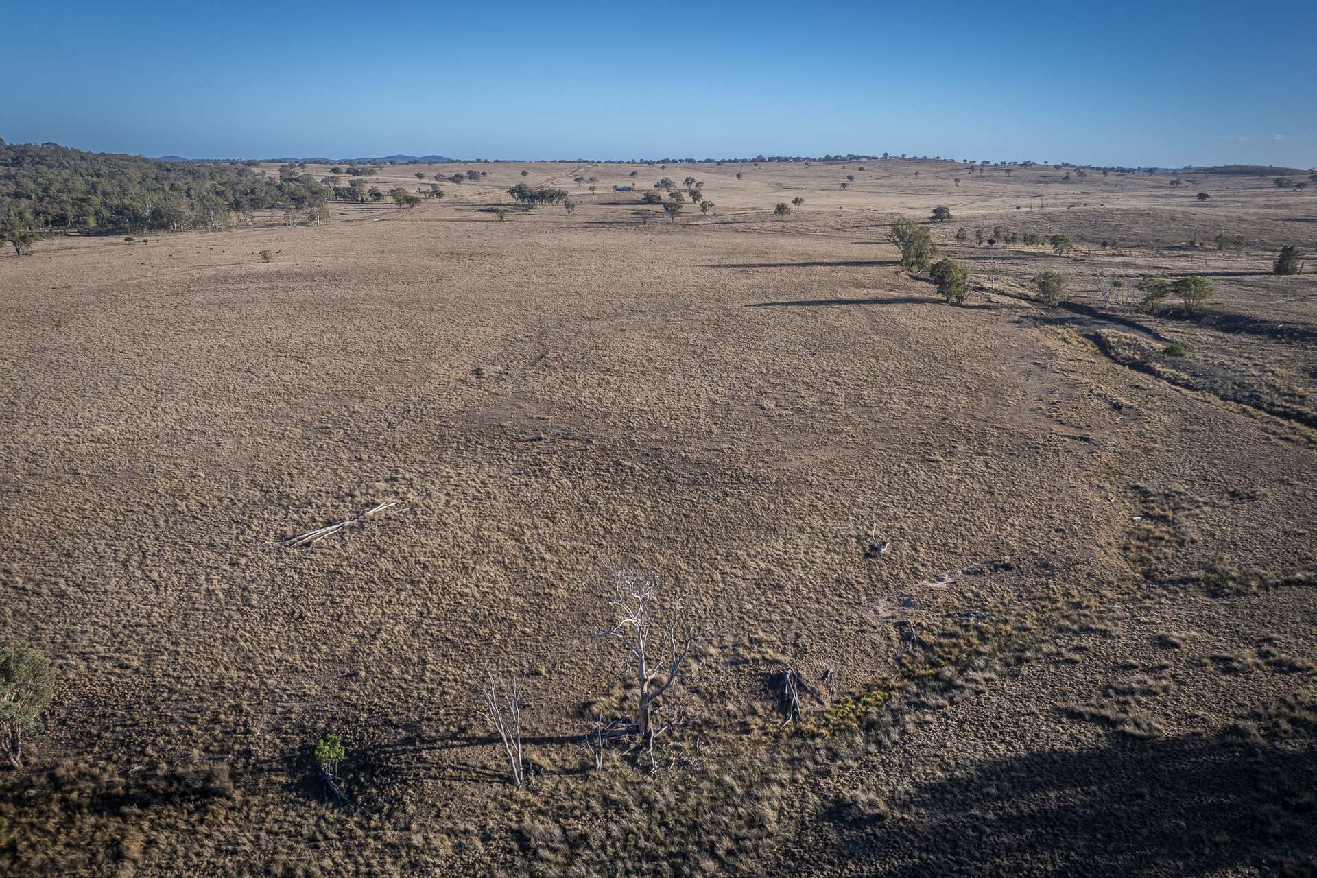 2403 Stanthorpe-Inglewood Road, Inglewood For Sale by Farmbuy.com - image 3