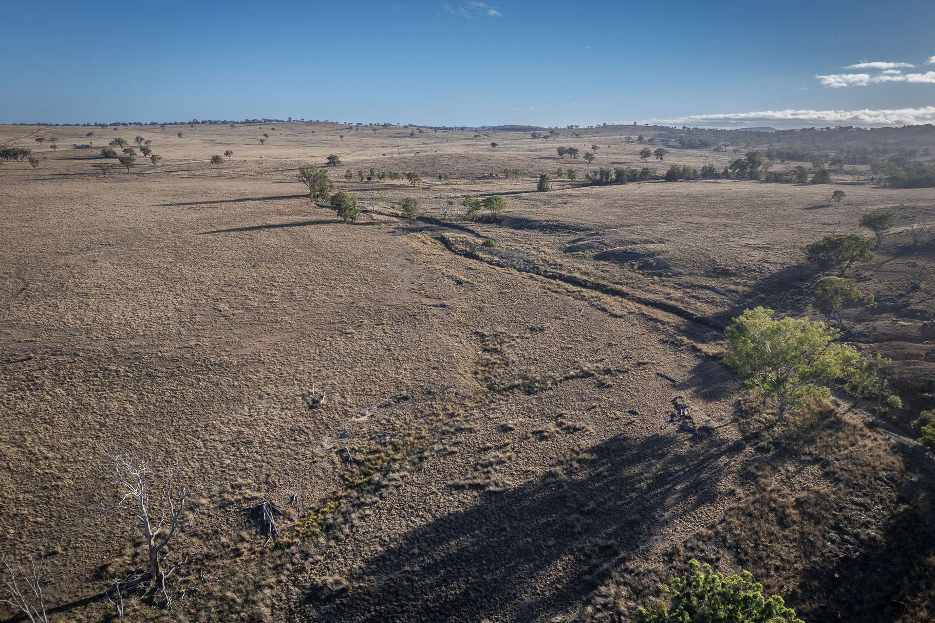 2403 Stanthorpe-Inglewood Road, Inglewood For Sale by Farmbuy.com - image 5