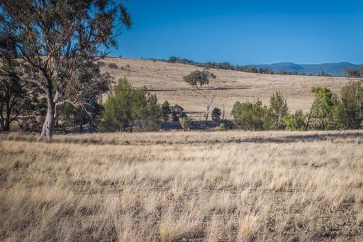 2403 Stanthorpe-Inglewood Road, Inglewood QLD 4387
