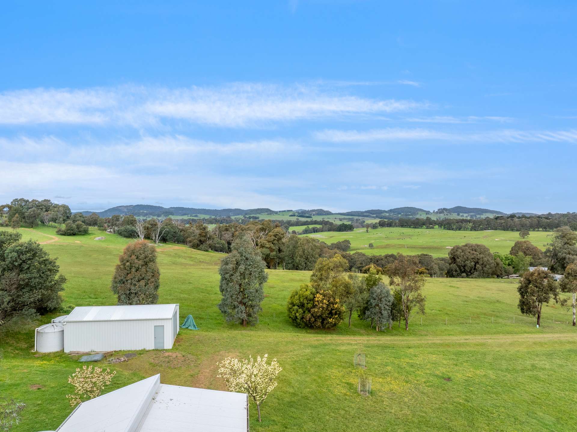 52 Armstrong Avenue, Strathbogie Auction by Farmbuy.com - image 20