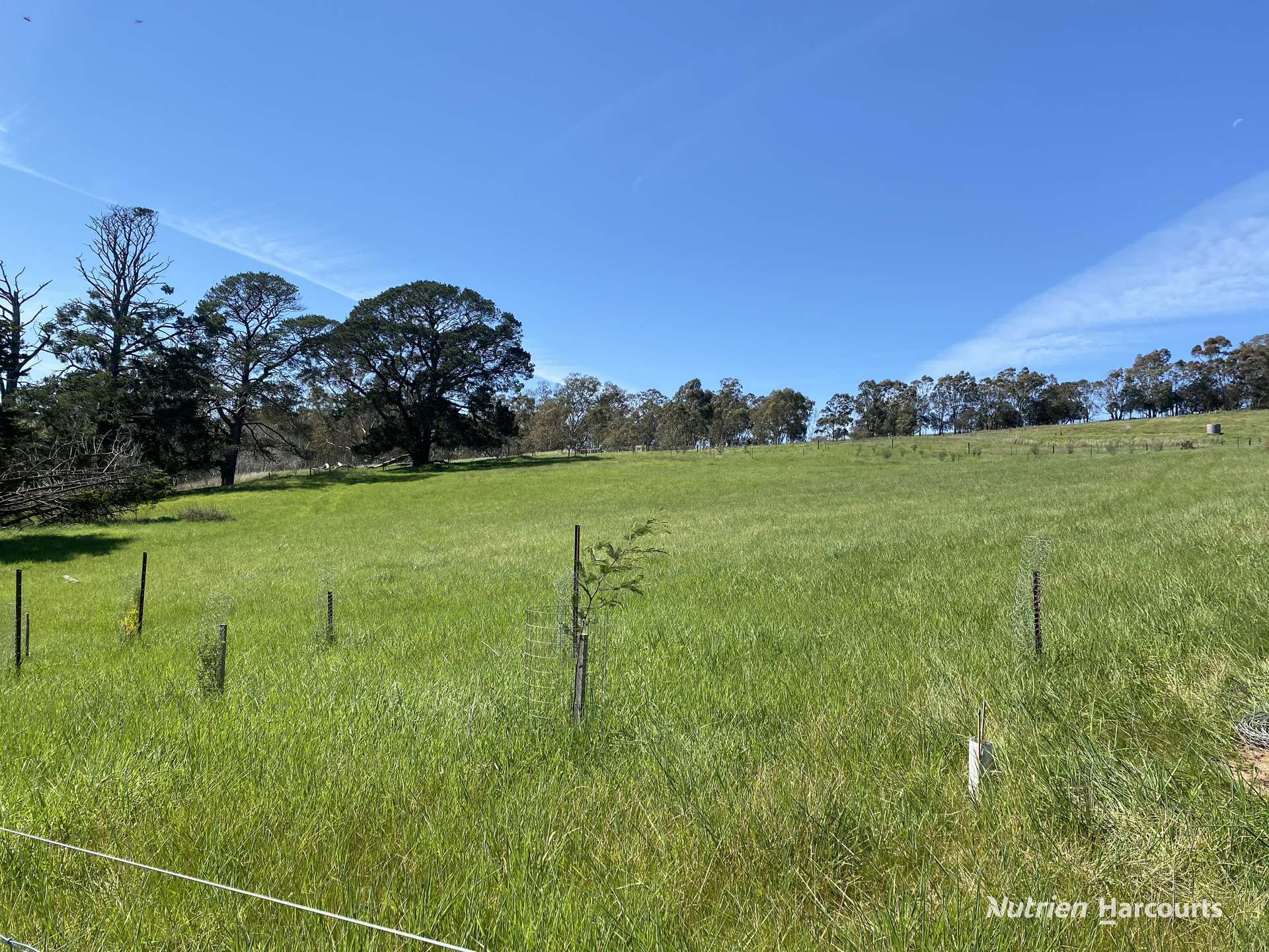 19 Sampeys Road, Chetwynd For Sale by Farmbuy.com - image 2