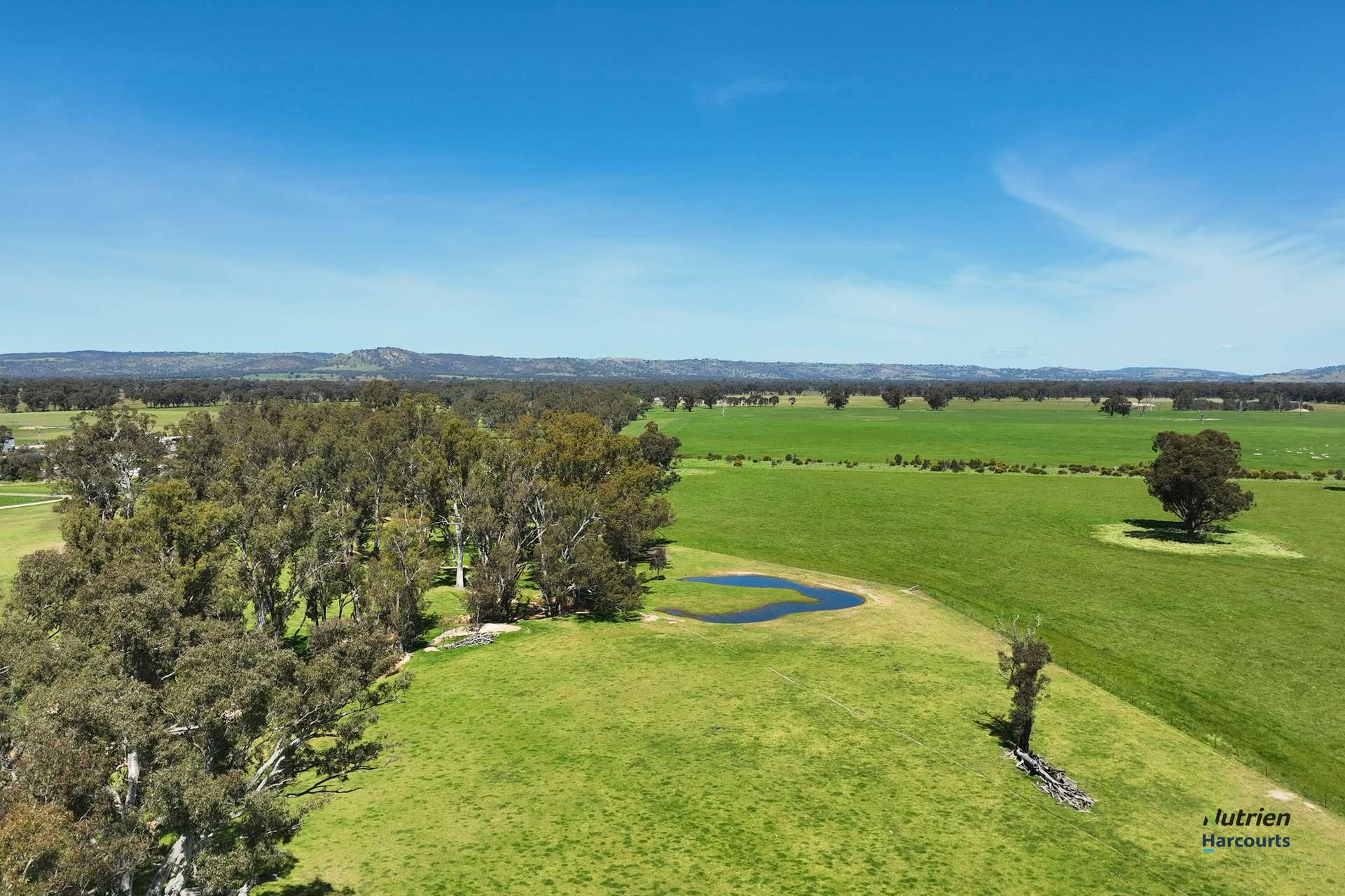 643 Carmodys Road, Longwood Tender by Farmbuy.com - image 2