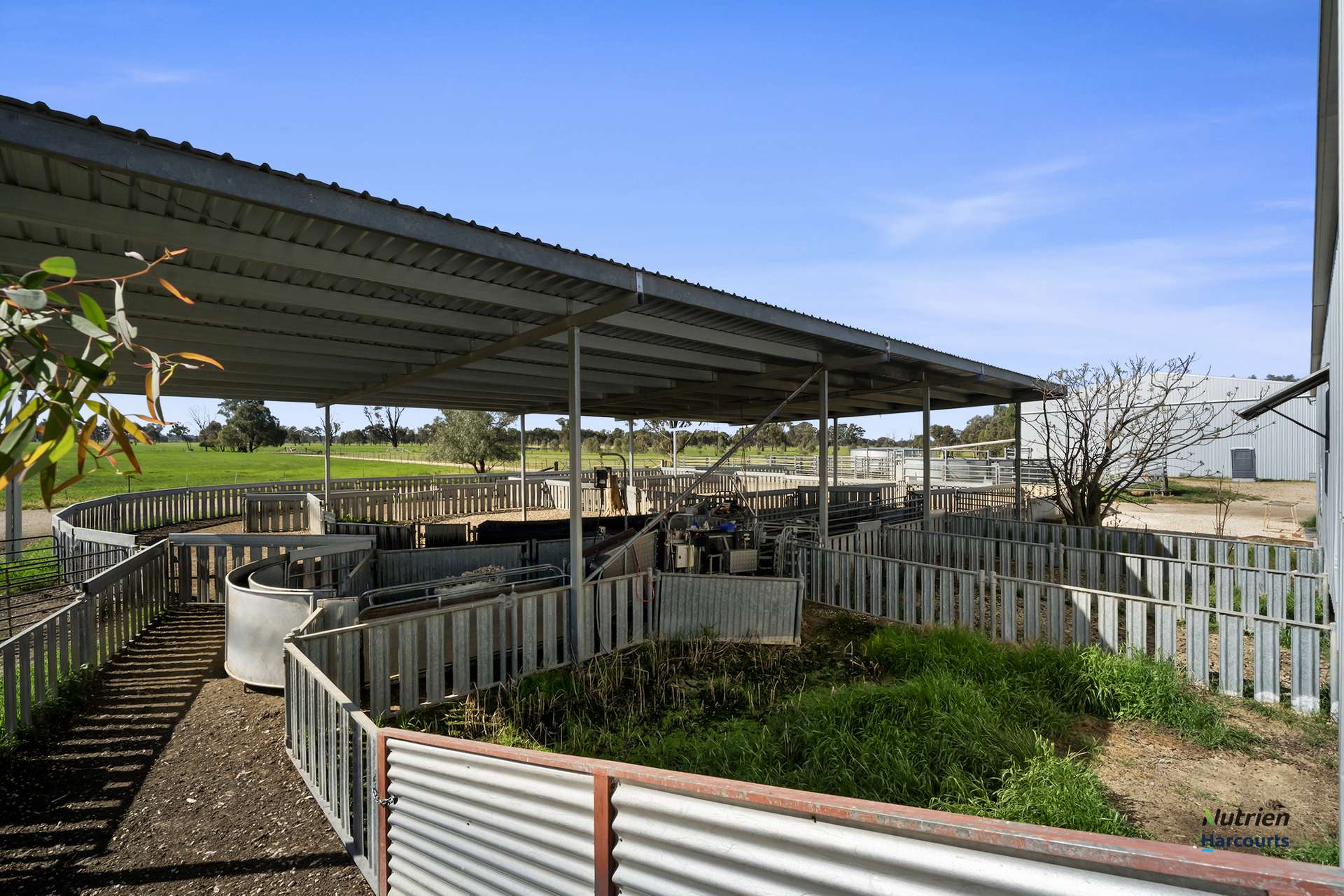 643 Carmodys Road, Longwood Tender by Farmbuy.com - image 11