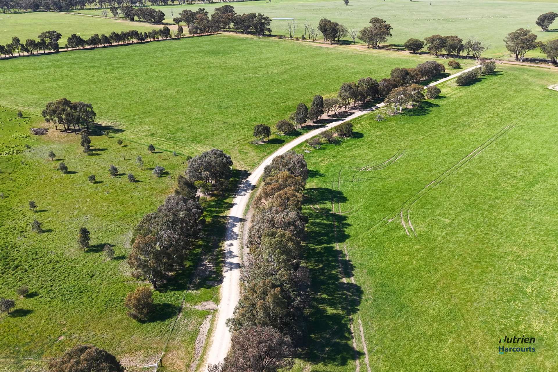 643 Carmodys Road, Longwood Tender by Farmbuy.com - image 3