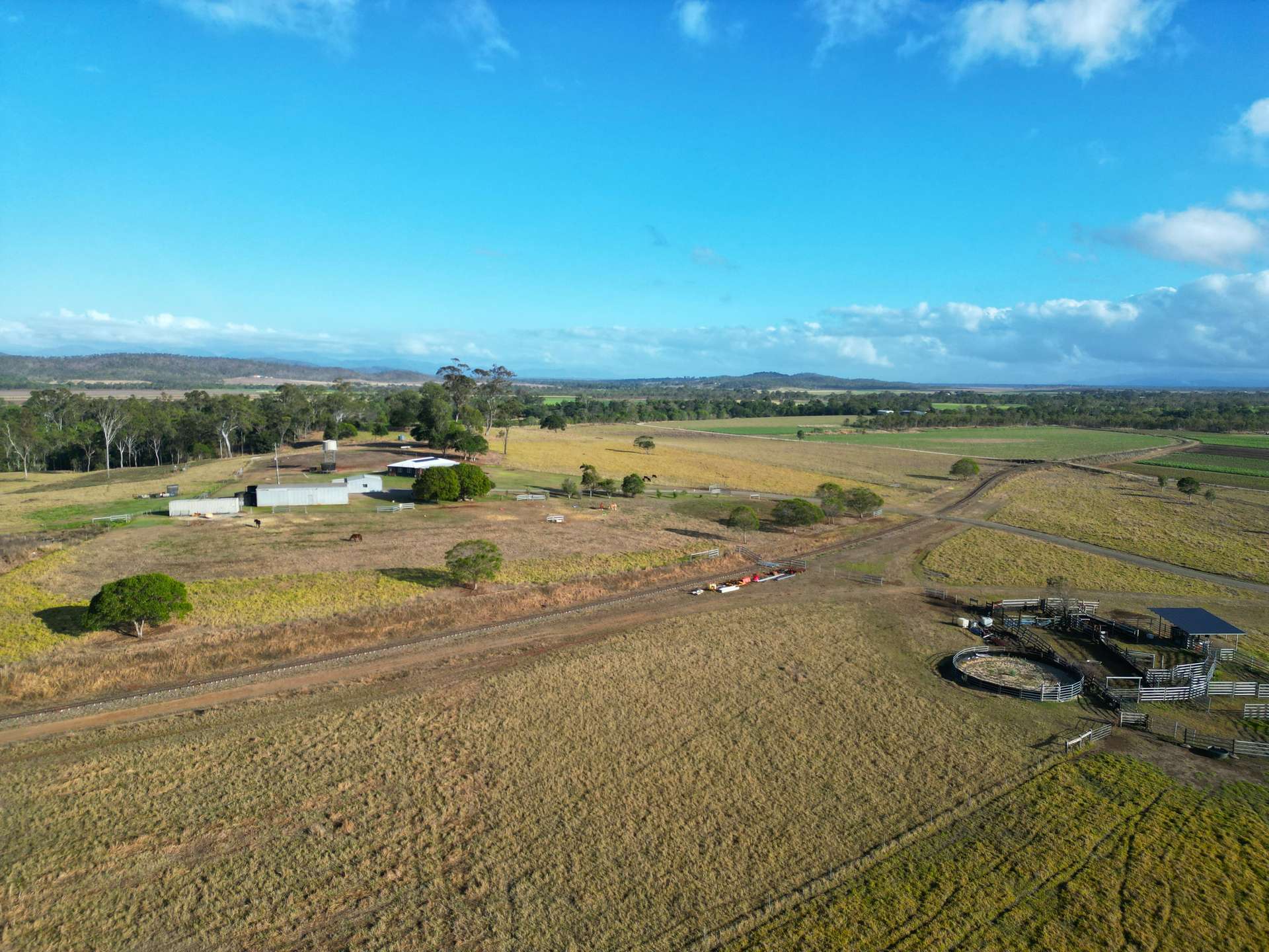 Bloomsbury For Sale by Farmbuy.com - image 3