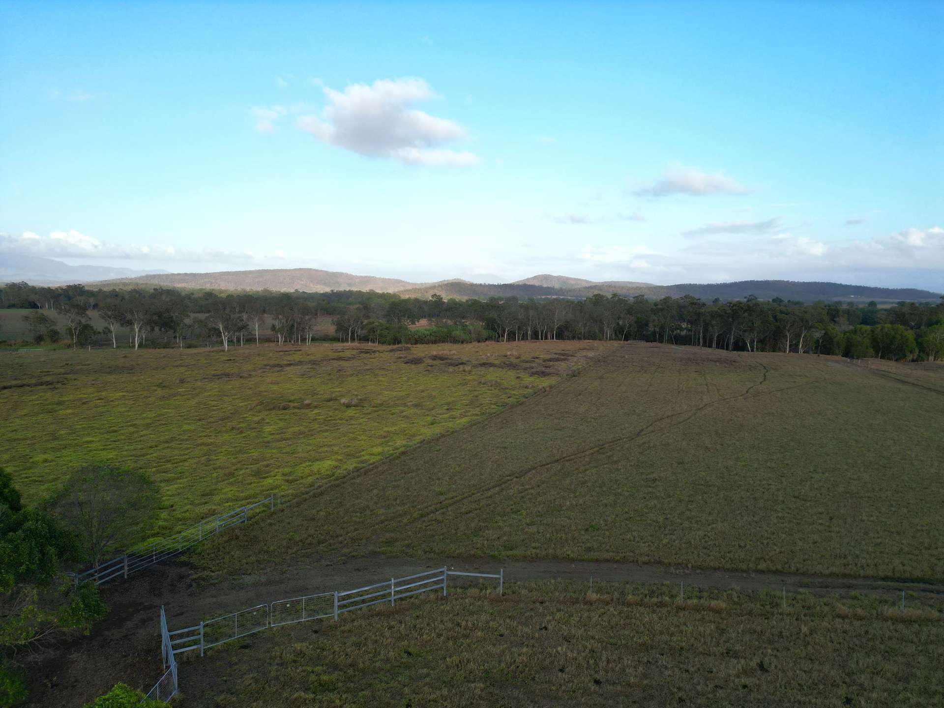 Bloomsbury For Sale by Farmbuy.com - image 8