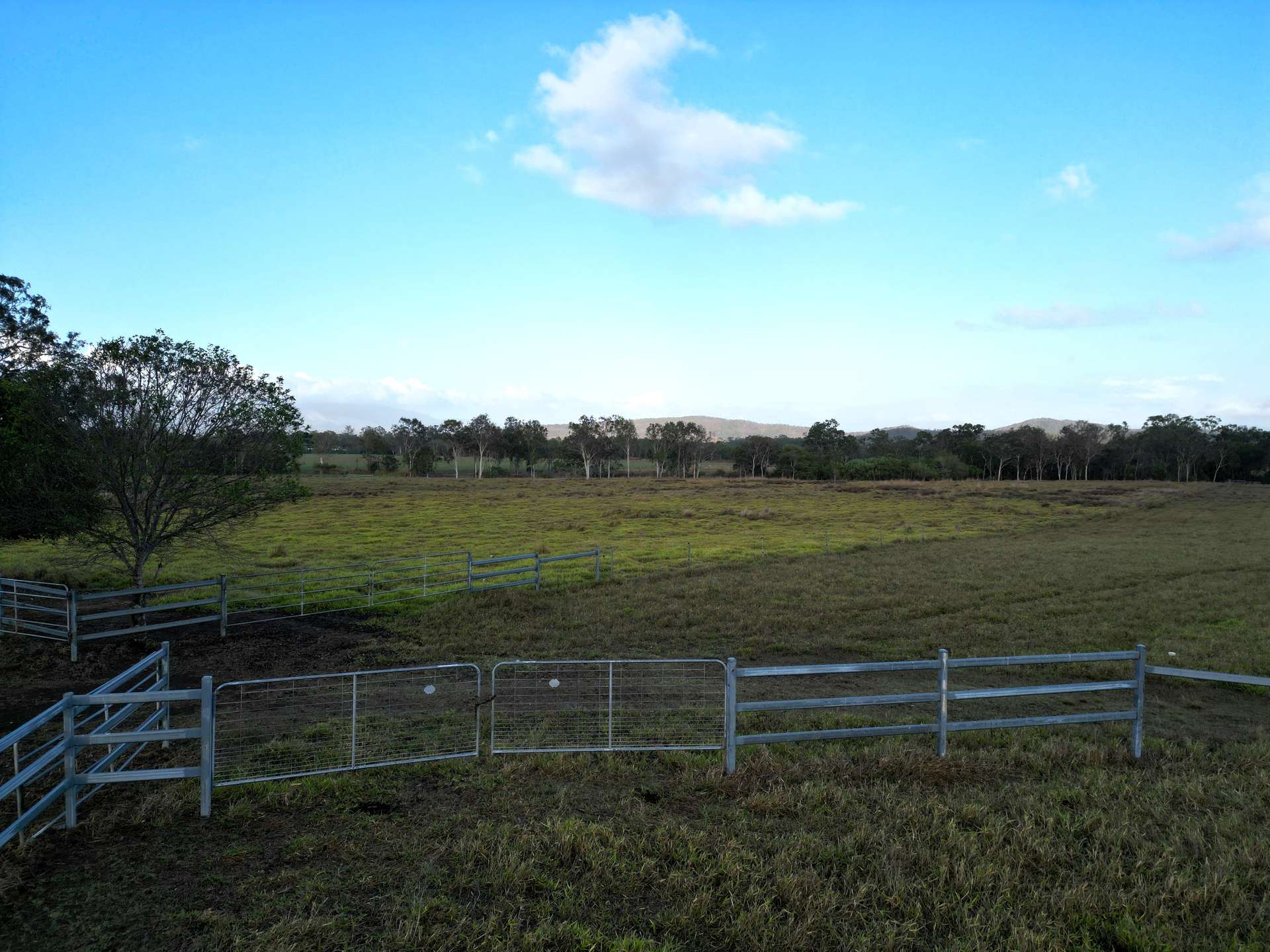 Bloomsbury For Sale by Farmbuy.com - image 7