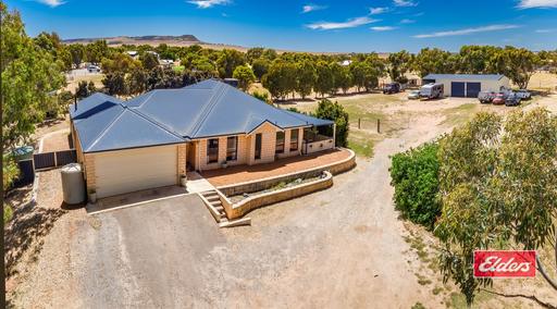 Farm For Sale - WA - Deepdale - 6532 - A Country Lifestyle close to town 