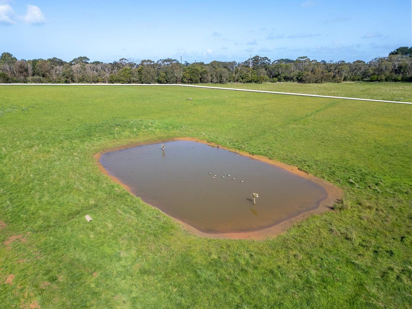 Lot 6 Tully Lane, Bolwarra For Sale by Farmbuy.com - image 4