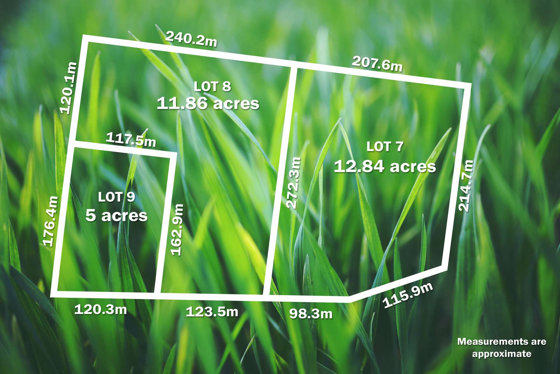 Lot 7, 8 & 9,  Smythesdale-Snake Valley Road, Snake Valley For Sale by Farmbuy.com - image 16