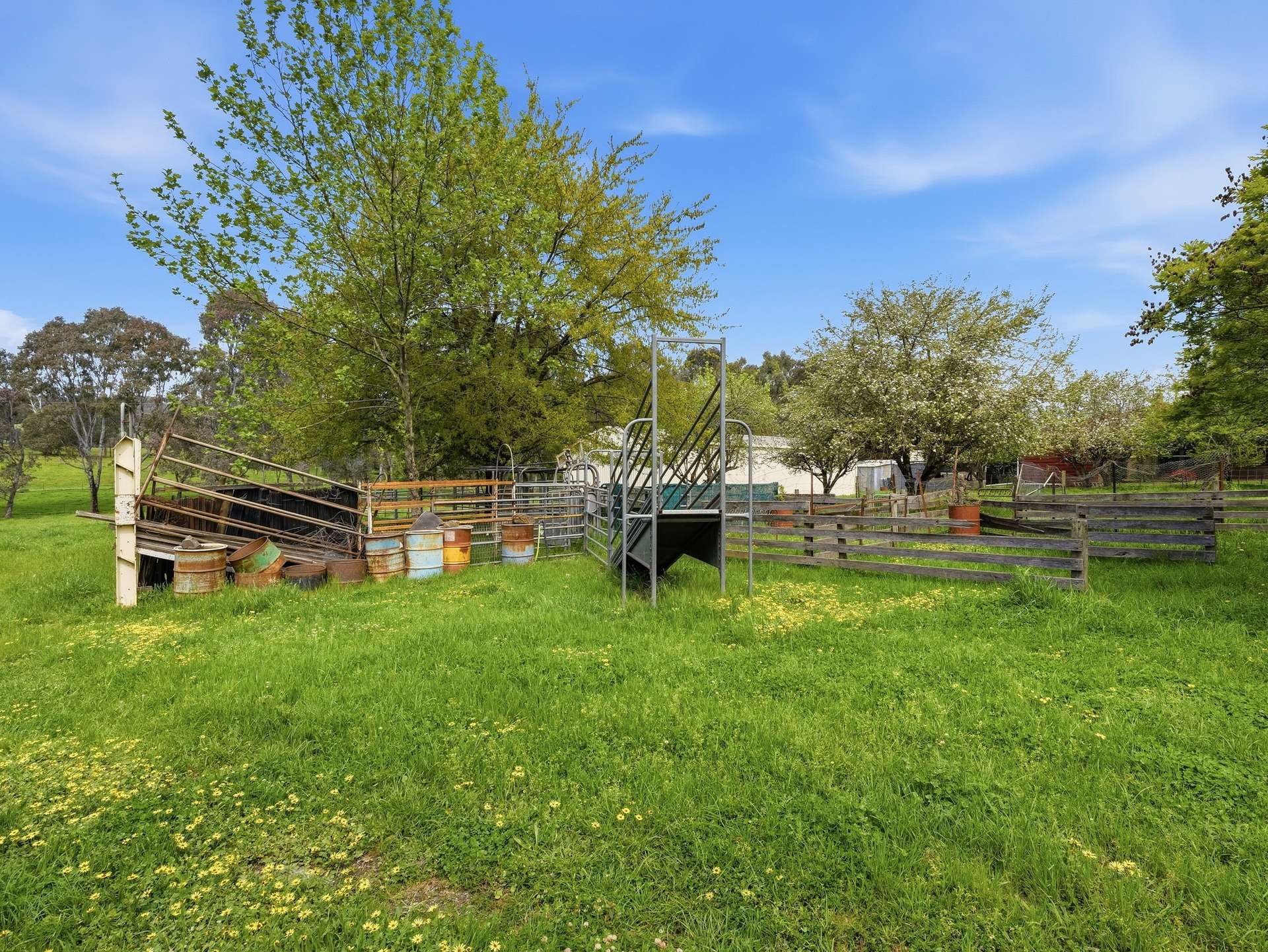 763 Edi-cheshunt Road, Edi Upper For Sale by Farmbuy.com - image 20