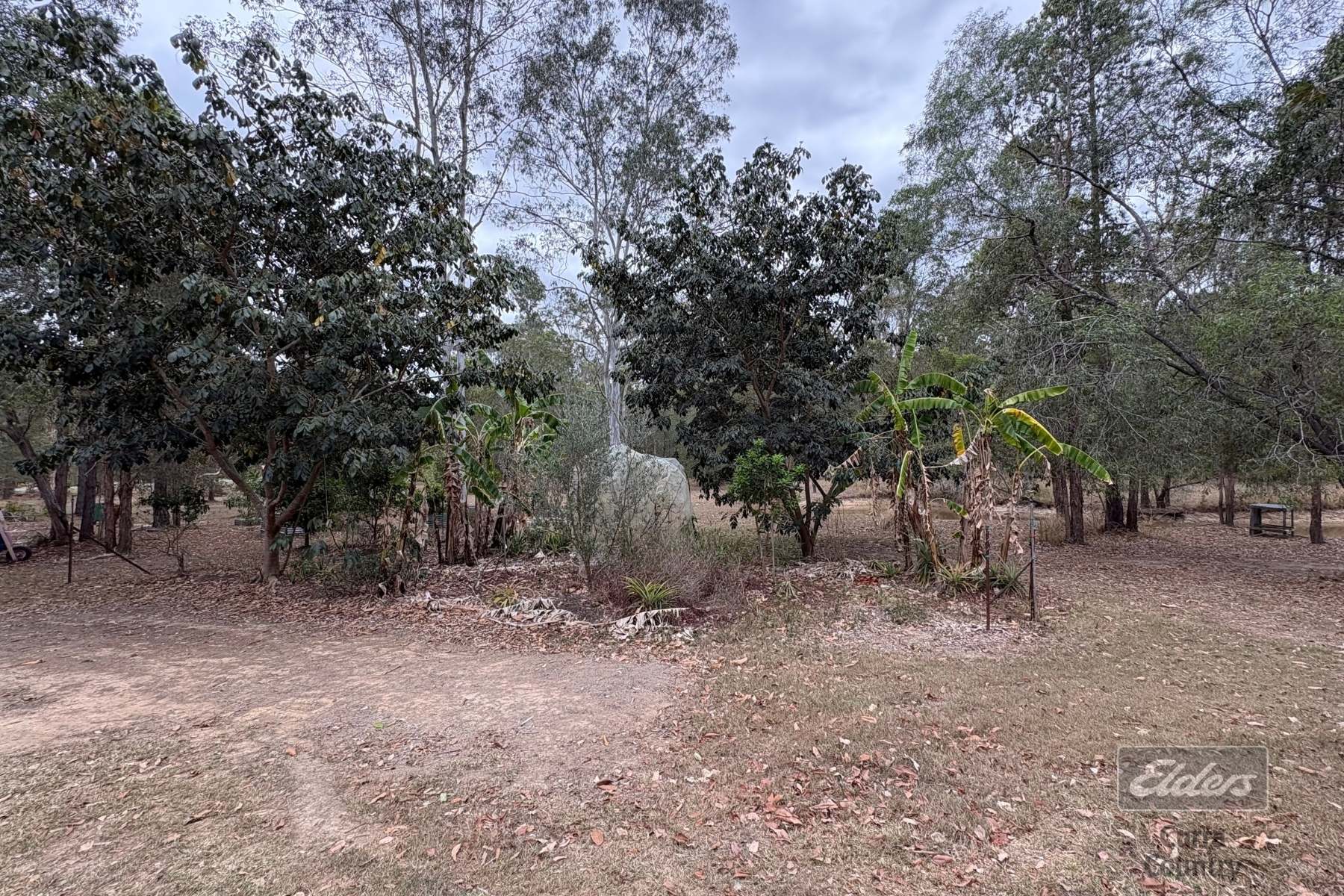 132 Arborthree Road, Glenwood For Sale by Farmbuy.com - image 24