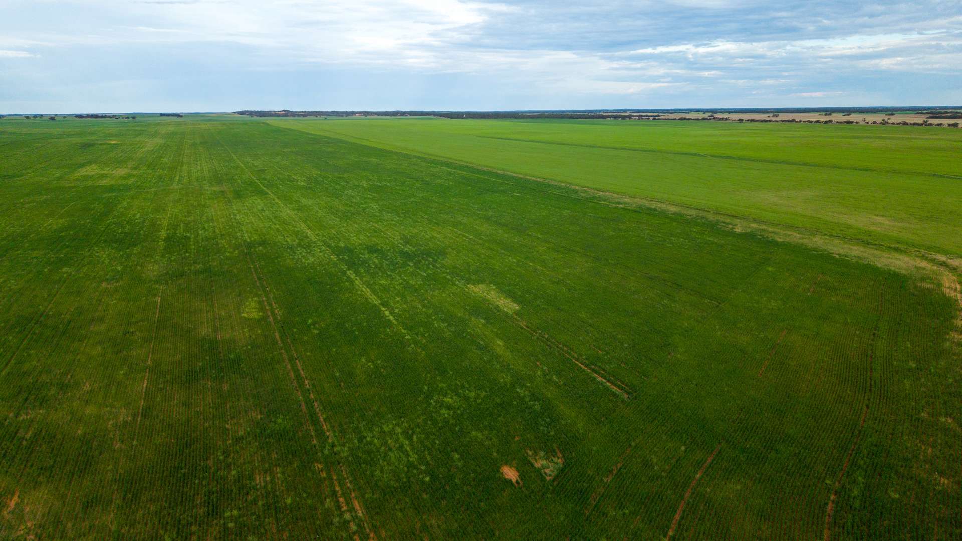 602 McCabe Road, Wanbi For Sale by Farmbuy.com - image 5